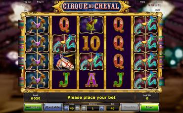 Игровой автомат Cirque du Cheval