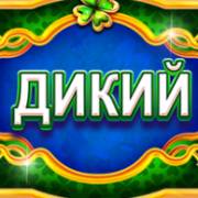 Символ Wild в Golden Leprechaun's Mystery