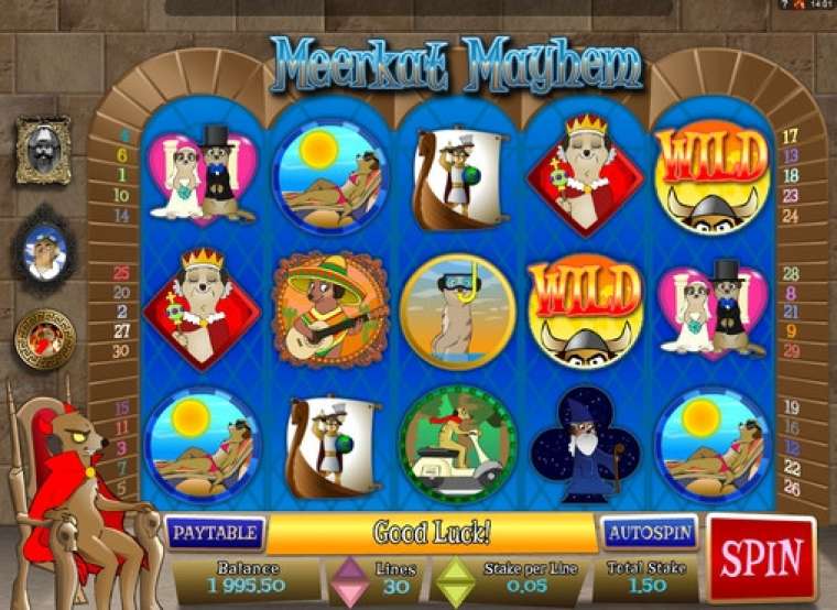 Слот Meerkat Mayhem играть бесплатно