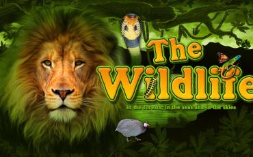 Игровой автомат The Wildlife