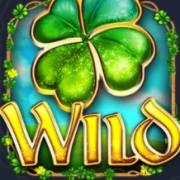 Символ Wild в Wild Fortunes