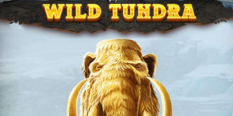 Слот Wild Tundra играть бесплатно